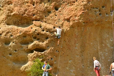 DSC_6358 (Large).JPG